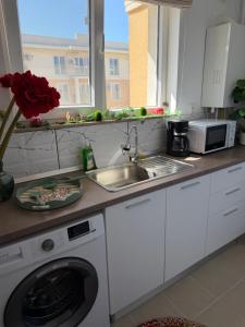 eine Küche mit Spüle und Waschmaschine in der Unterkunft SunSet Studio by Cosmopolis in Ştefăneştii de Sus