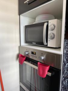 a microwave oven sitting on top of a stove at Residence Cikaline Chambre d'hôte proximite du port de P-a-P in Pointe-à-Pitre