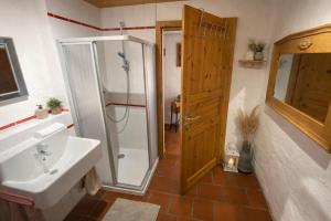 a bathroom with a shower and a sink and a toilet at Gibbesbachhof Black Forest Apartments in Triberg +34 photos