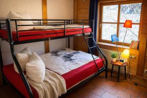 a bedroom with two bunk beds and a window at Gibbesbachhof Black Forest Apartments in Triberg