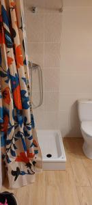 a shower in a bathroom with a shower curtain at Chata pod kogutem in Barczewko +17 photos