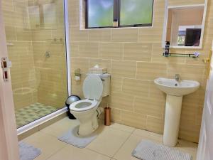 a bathroom with a toilet and a sink and a shower at Blue Crane Guesthouse in Hilton