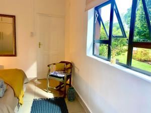 a room with a window and a chair in it at Blue Crane Guesthouse in Hilton