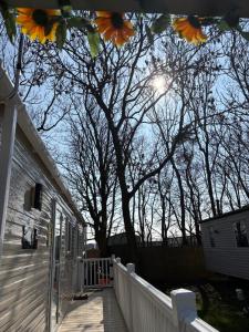 a tree on a porch with a white fence at Sunflower Retreat in Cresswell