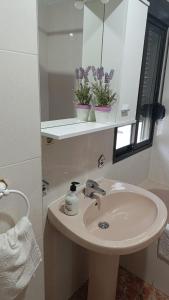 a bathroom with a sink and two plants on a mirror at Eclipse del Júcar Luna in Alcalá del Júcar +22 photos