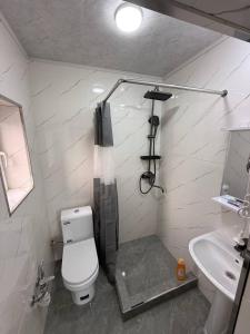 a bathroom with a toilet and a sink at Guest house Homely in Dushanbe +56 photos