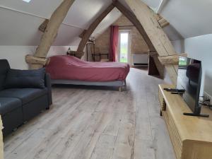 a bedroom with a bed and a couch and a tv at Mon Cabanon in Tonnerre