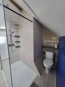 a bathroom with a toilet and a walk in shower at Mon Cabanon in Tonnerre +16 photos