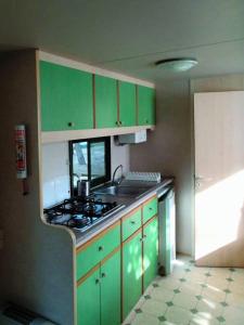 uma cozinha com armários verdes e uma placa de fogão em Victoria Camping Bella Austria em Peterdorf