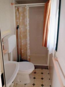 a bathroom with a white toilet and a shower at Victoria Camping Bella Austria in Peterdorf