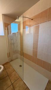 a bathroom with a shower and a toilet at gîte Chez Joëlle in Les Riceys +7 photos