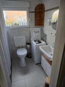 a small bathroom with a toilet and a sink at FeWo zwischen den Deichen in Emden +18 photos