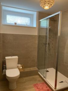 a bathroom with a toilet and a glass shower at Le Charme de Colmar B&B in Colmar