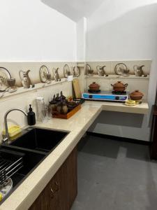 a kitchen with a sink and a counter top at Kandy Green Nature Villa in Kandy