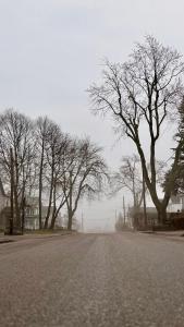 a street with trees on the side of a road at Bright & Cozy Home in Niagara Falls with Free Parking in Niagara Falls