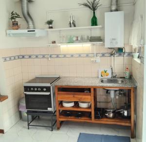 a small kitchen with a stove and a sink at Anexo na Quintinha in Caldas da Rainha +13 photos