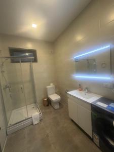a bathroom with a shower and a sink and a toilet at Natali Apart-hotel in Tbilisi City +33 photos