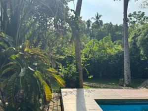 a swimming pool in a garden with palm trees at Swastha Ayurveda Villa in Hikkaduwa +62 photos