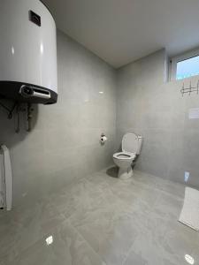 a bathroom with a toilet and a window at Apartmány Veselka in Oslnovice