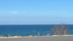 a large body of water with a tree on the beach at Алия in Tossor