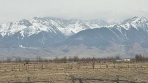 a mountain range with snow covered mountains in a field at Алия in Tossor