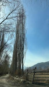 a fence on a dirt road next to a field at Алия in Tossor