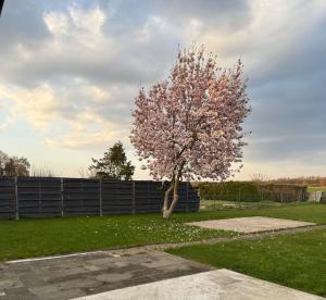 a tree with pink flowers on it in a yard at Comfy House Privé in Erftstadt