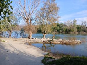 a body of water with trees and a river at L'Hortet de Can Serra in Xerta