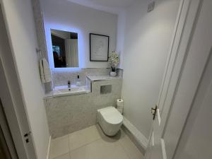 a bathroom with a toilet and a sink and a mirror at Lakescape in Cirencester +13 photos