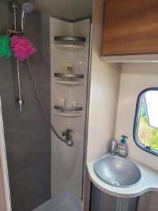 ein Badezimmer mit Waschbecken und Dusche in der Unterkunft Signature Camper in Rédange