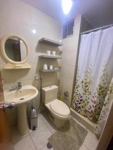 a bathroom with a toilet and a sink and a shower at High Garden Apartment in Trujillo +15 photos