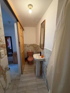 a bathroom with a sink and a toilet at Hotel Minnesota y Centro de Eventos Molina in San Lucas Tolimán +29 photos