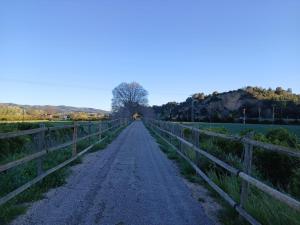 a dirt road in a field with a fence at L'Hortet de Can Serra in Xerta