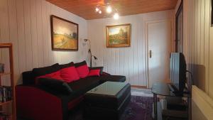 a living room with a couch and a tv at Ferienhaus-Maxen in Müglitztal