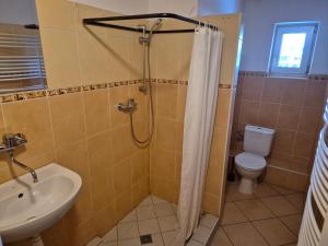 a bathroom with a shower and a toilet and a sink at BED & BREAKFAST penzion Brno in Brno +15 photos