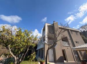 a house with a tree in front of it at Thalore room e apartments in Amantea