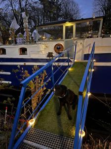 a dog standing on the steps of a boat at Péniche Helios - logement insolite indépendant in Metz
