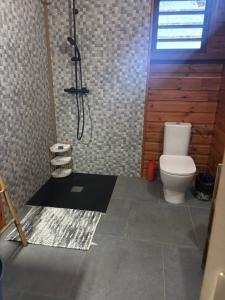 a bathroom with a shower and a toilet in it at Le Bananawi in Pointe-Noire