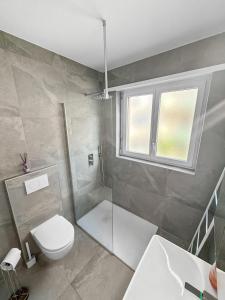 a bathroom with a toilet and a shower and a window at Appartamento Rivamaggia Locarno in Solduno +10 photos
