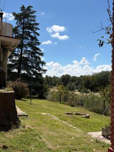 a view of a yard with a tree at Habitación con baño privado con cocina separada in Villa Cura Brochero