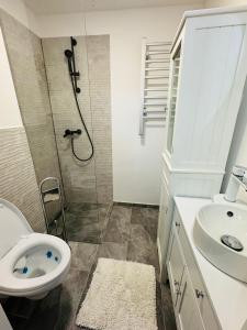 a bathroom with a shower and a toilet and a sink at Apartament UNO in Reşiţa