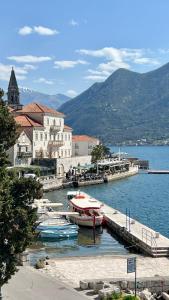 eine Gruppe von Booten, die an einem Dock im Wasser festgemacht haben in der Unterkunft Apartments Gudco in Perast