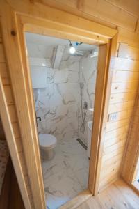a bathroom with a toilet and a stone wall at Apartmani Perosevic in Danilovgrad +29 photos