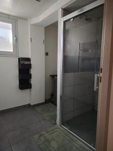 a bathroom with a glass shower door in a room at ''Le Nid du Forez'' appartement 2 chambres , parking gratuit ,terrasse privative in Prétieux +19 photos