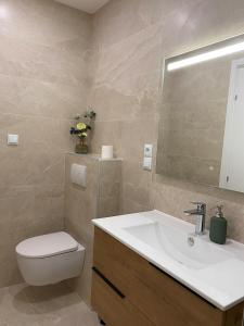 a bathroom with a sink and a toilet and a mirror at Cosy studio with garden in Chevry +7 photos