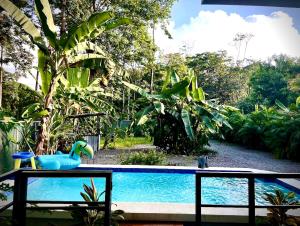 a swimming pool with a toy in the middle at Playa Negra Art House in Hone Creek