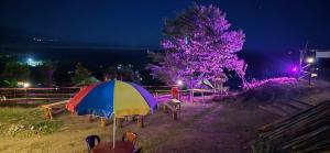 a colorful umbrella sitting next to a tree at night at Nature's Harmony Heaven Resort in Dāmbuk