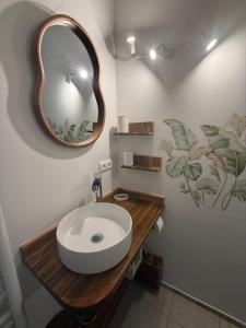a bathroom with a white sink and a mirror at La Fontaine du Soleil in Salernes +55 photos