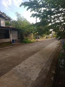 an empty street with a tree and a house at Camiguin Island in Mahinog