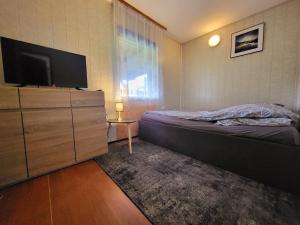 a bedroom with a bed and a flat screen tv at Domek Jabłoniowy in Małe Leżno
